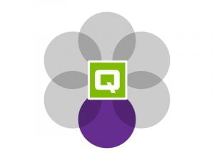 QColors_Purple